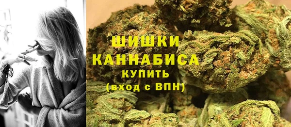ECSTASY Пересвет