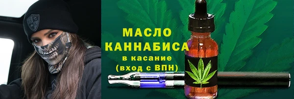 ECSTASY Пересвет