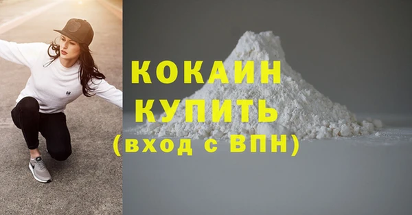 ECSTASY Пересвет