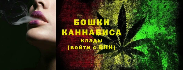 ECSTASY Пересвет