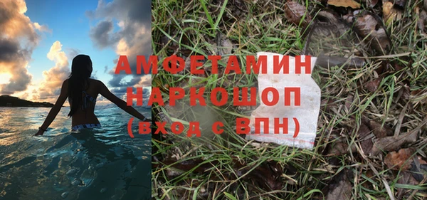 ECSTASY Пересвет