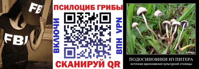ссылка на мегу tor  Сысерть  Галлюциногенные грибы мицелий  где найти наркотики 